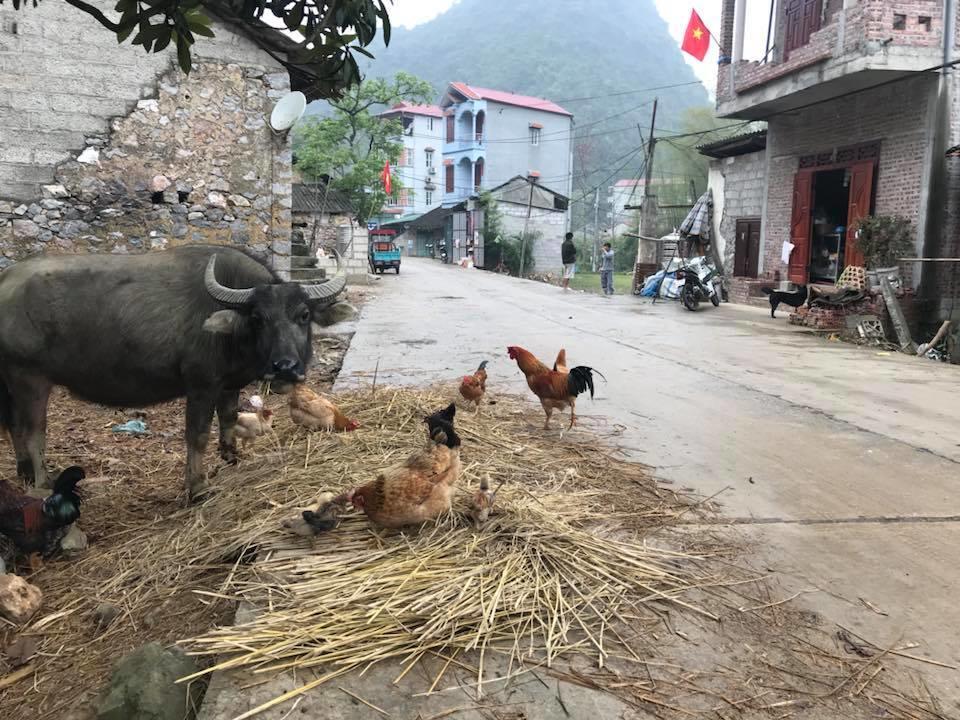 A Sy Ban Gioc Homestay - Nha San Da Co Cao Bang Luaran gambar